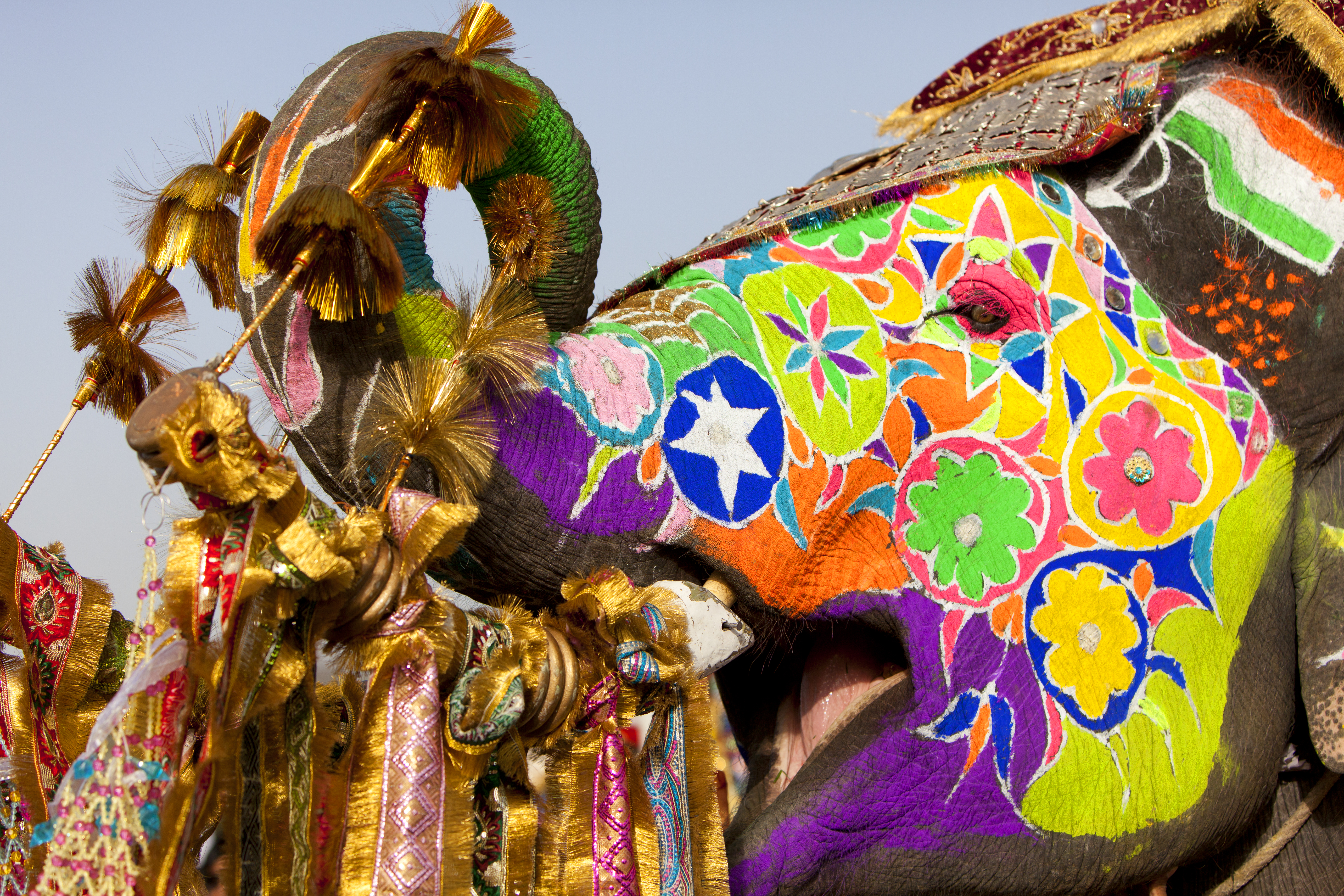 Eleholi Festival, Jaipur