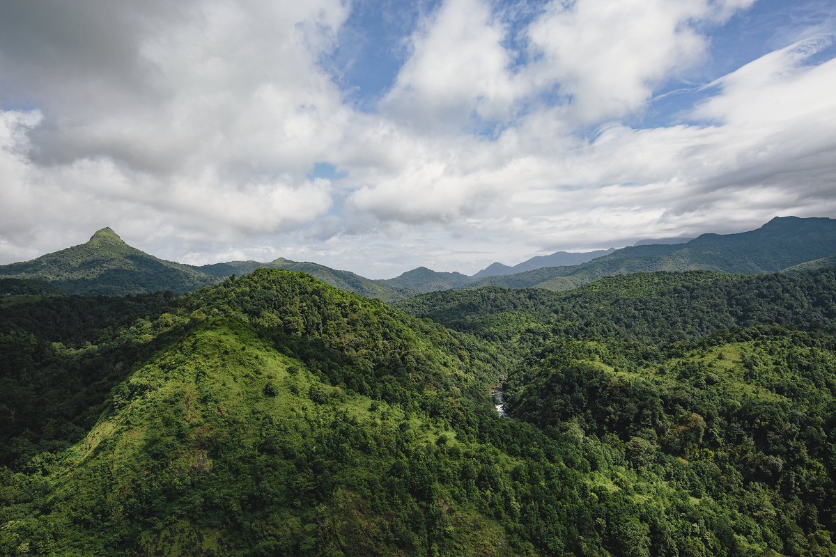 Anaikatti Silent Valley