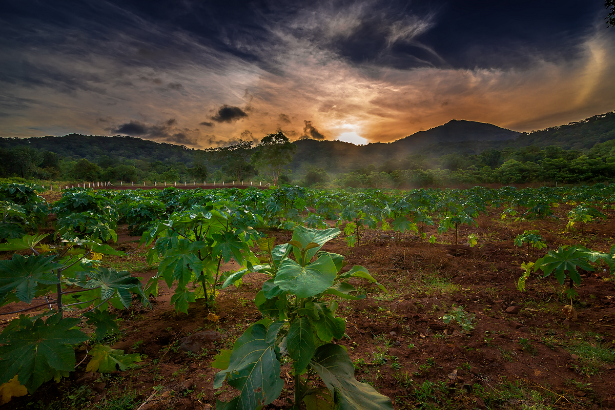 Anaikatti sunrise