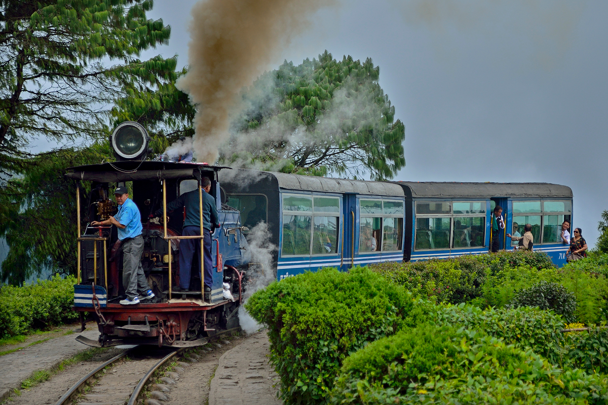 Darjeeling Toy Train