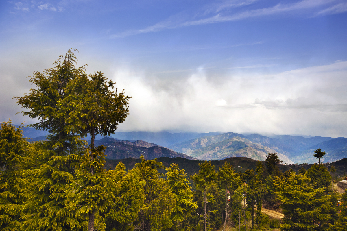 Kufri Scenery