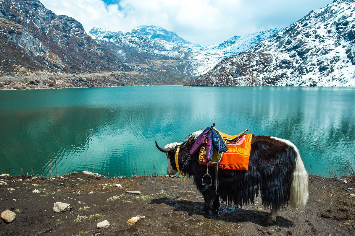 Tsomgo Lake Gangtok