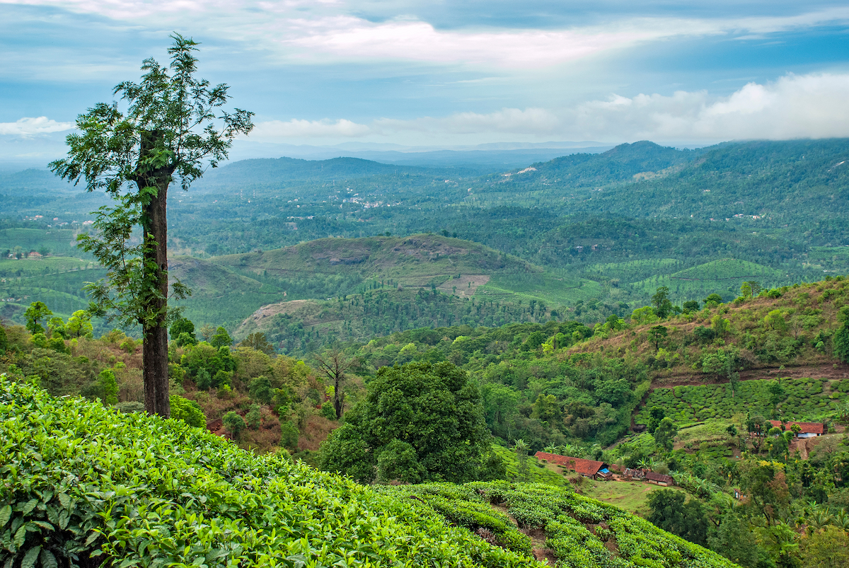 Chembra Peak