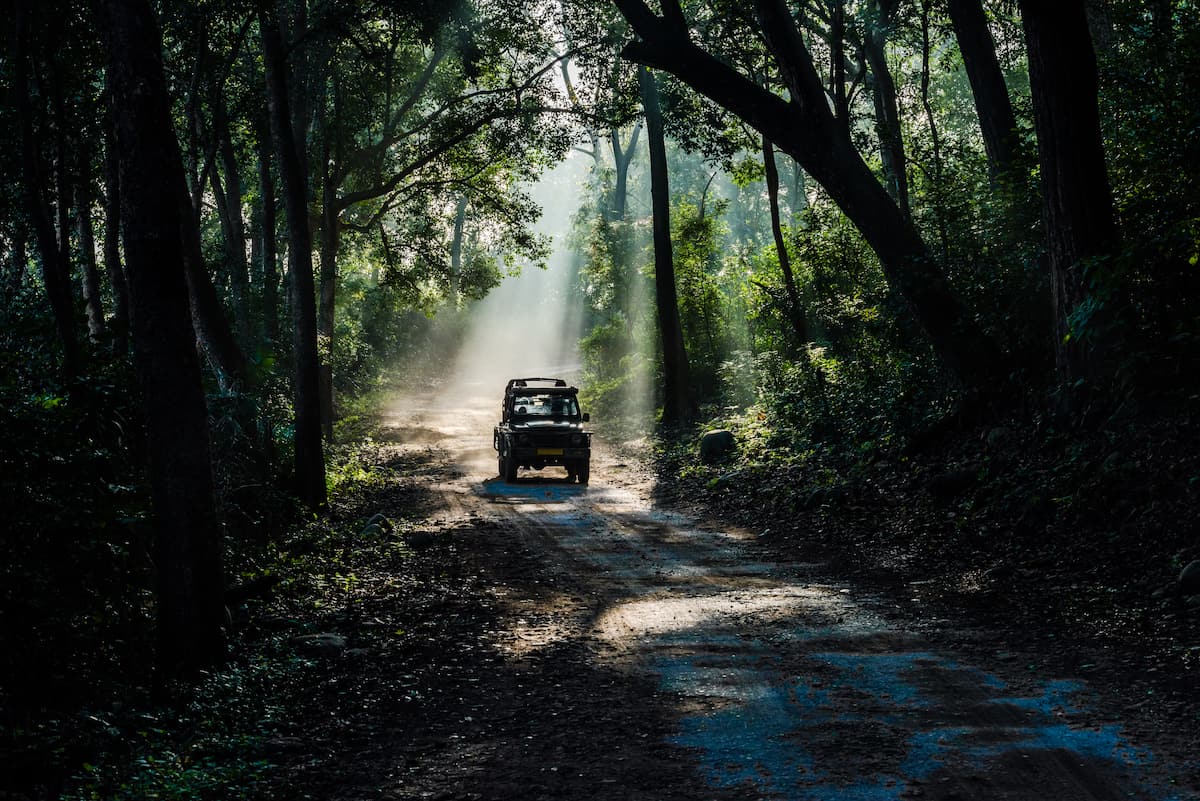 Corbett National Park Safari