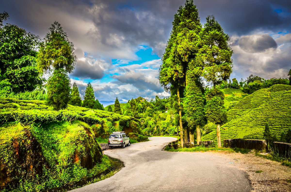 Darjeeling Roads