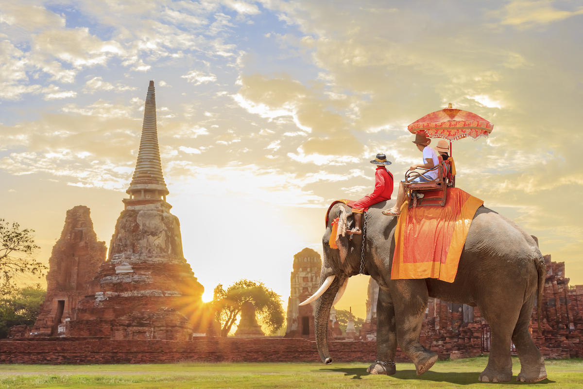 Elephant Ride near palace