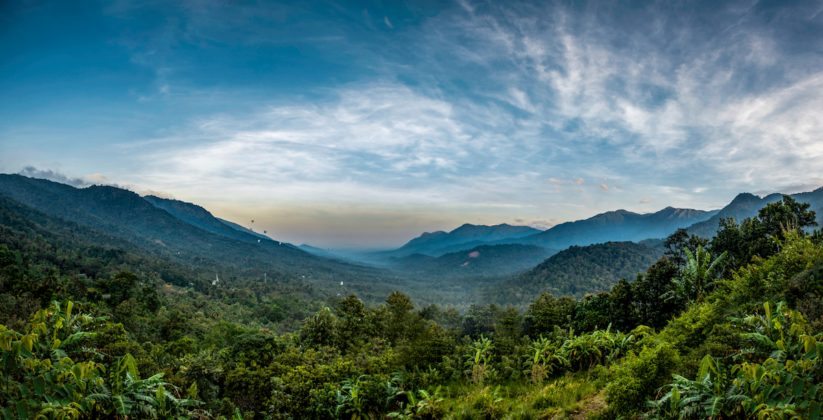 Wayanad Landscape