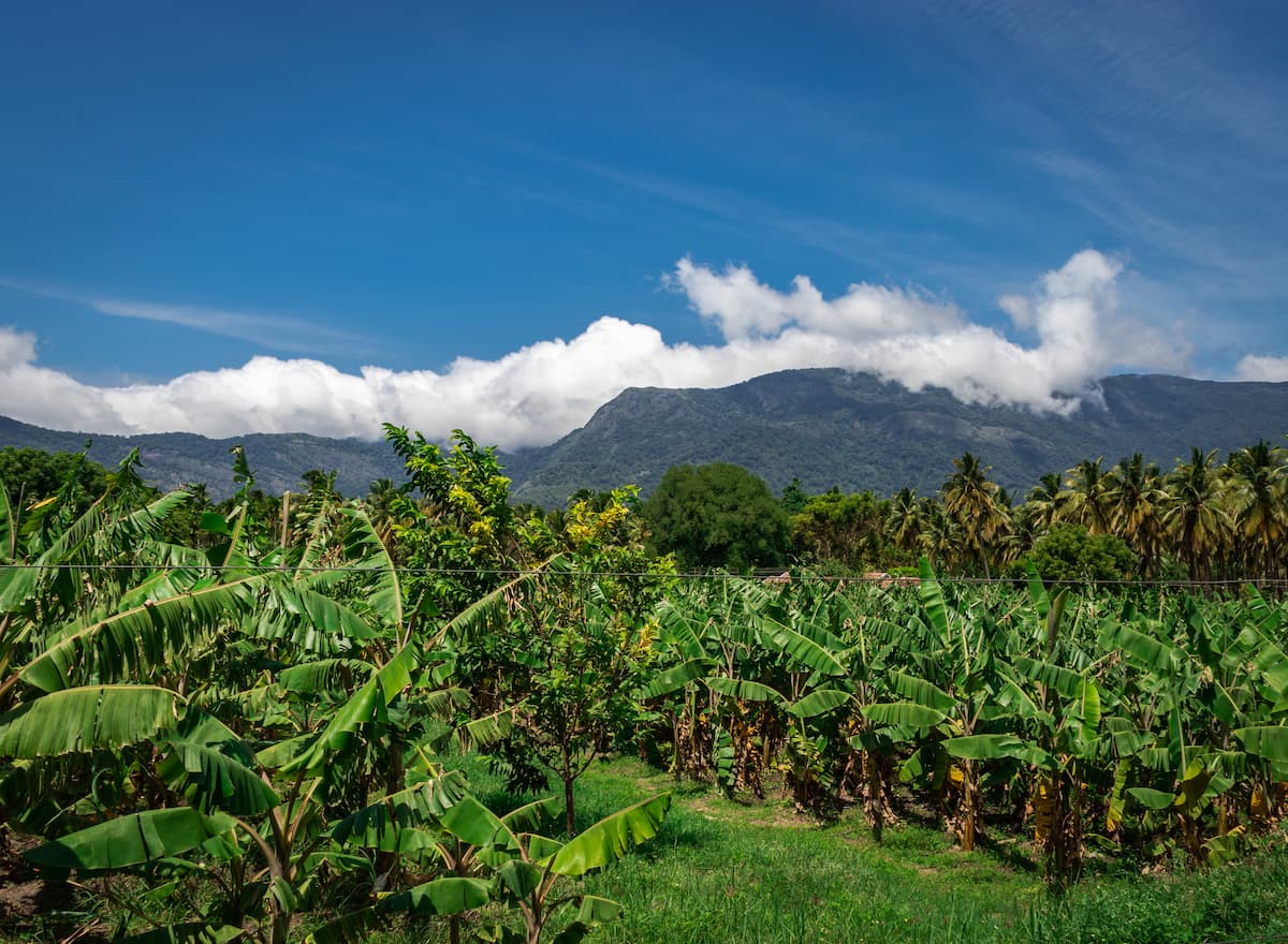 Velliangiri Hills