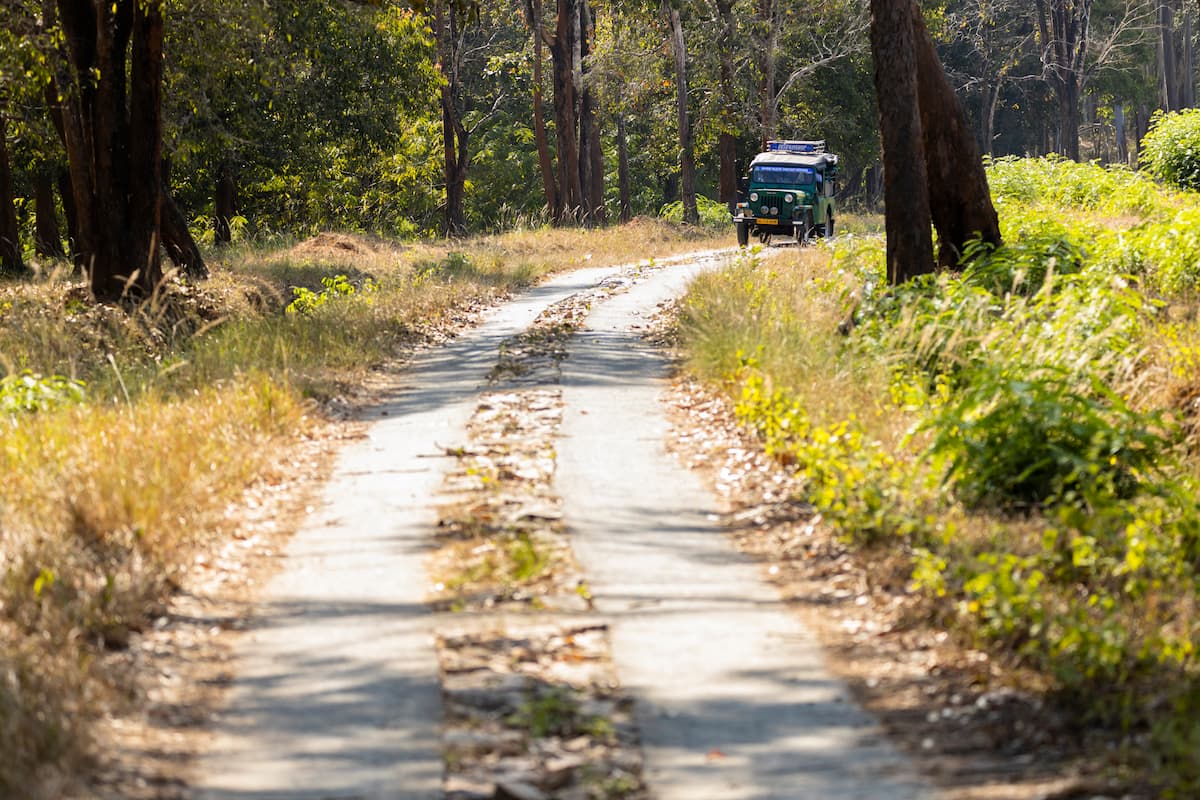 Wayanad Wildlife Sanctuary