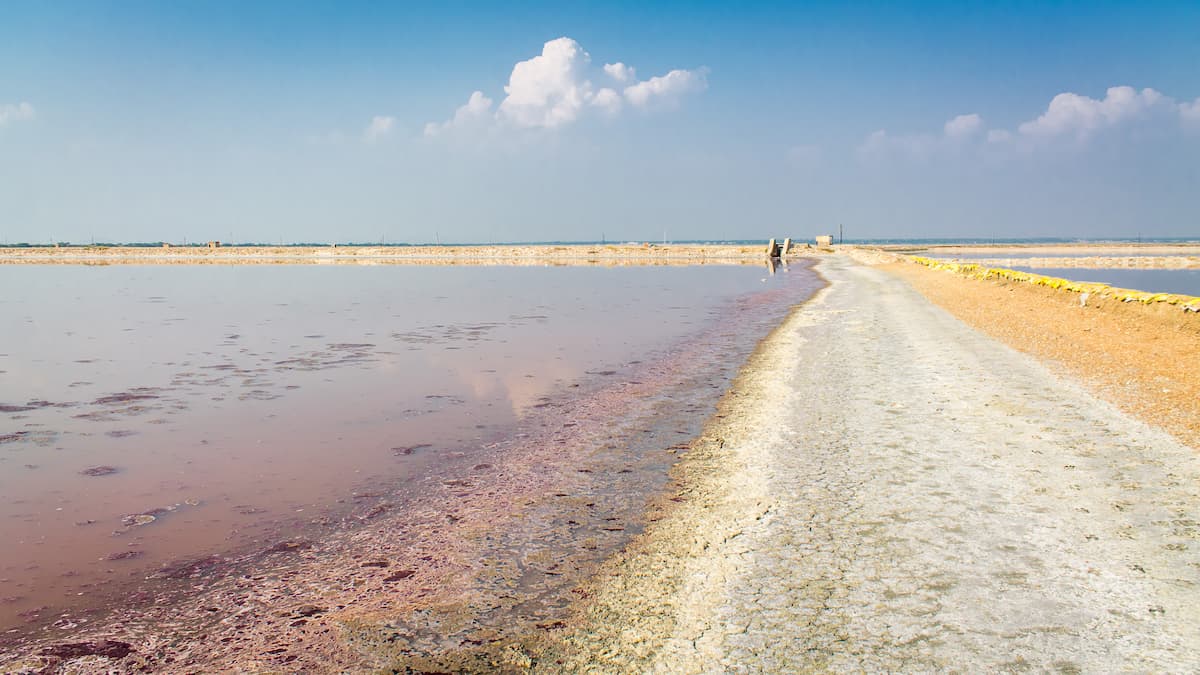 Sambhar Salt Lake Banks