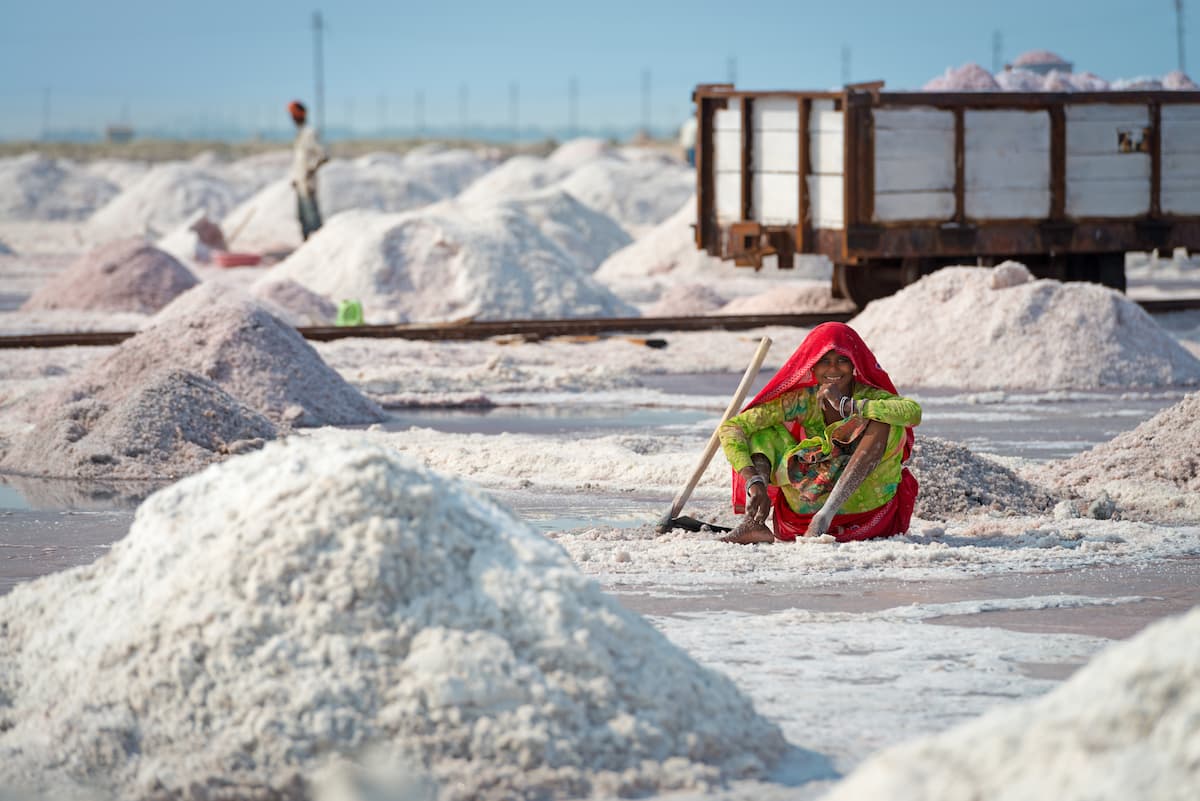 Sambhar Salt Lake Collecting Salt