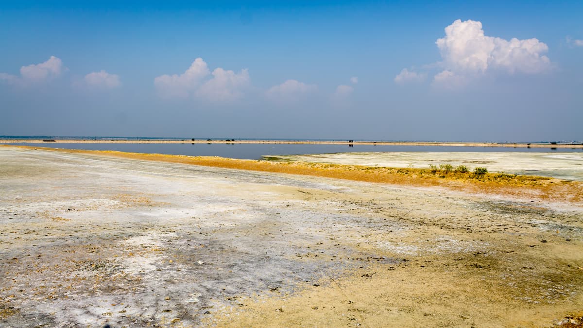 Sambhar Salt Lake View