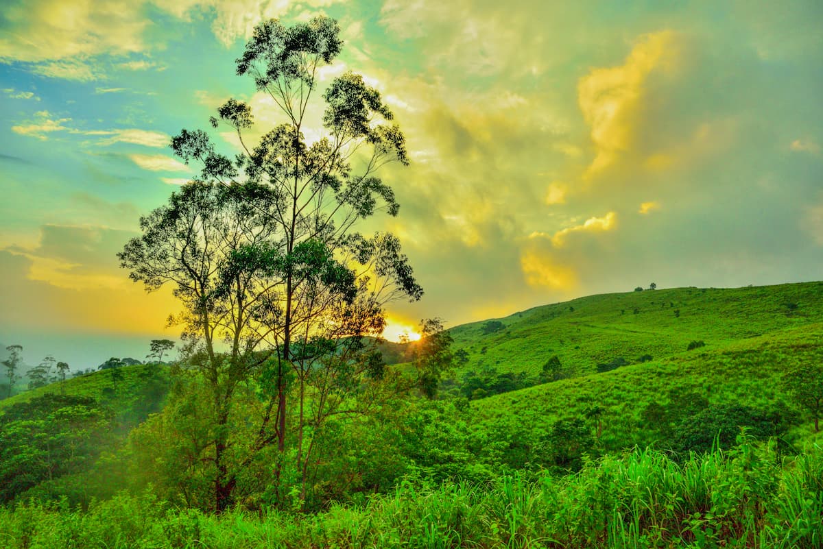 Thekkady Scenery