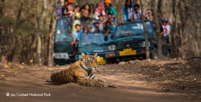 Sterling Corbett Blogs