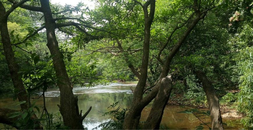athirappilly-best-time-to-visit-places-to-see-sterling-resorts