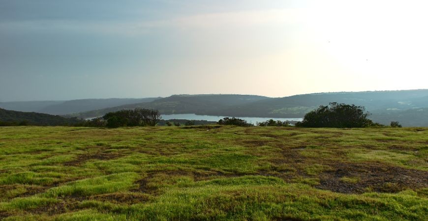 /content/dam/sterlingholidays/activities/panchgani/panchgani-destination-Kaas%20Plateau.jpg