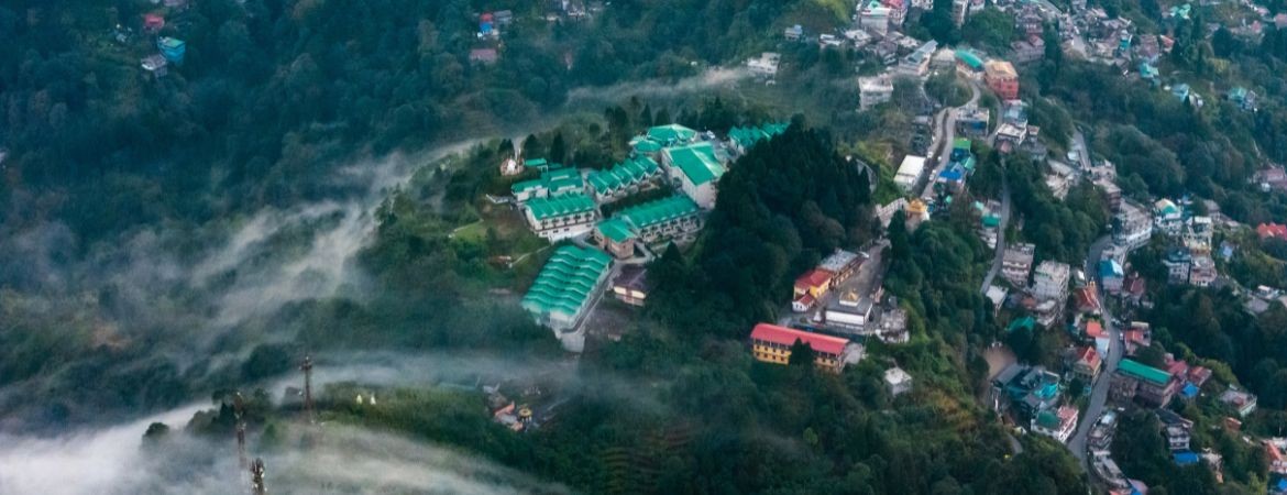 Sterling Darjeeling, photo 2