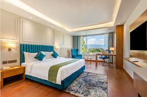 Premier Room Image