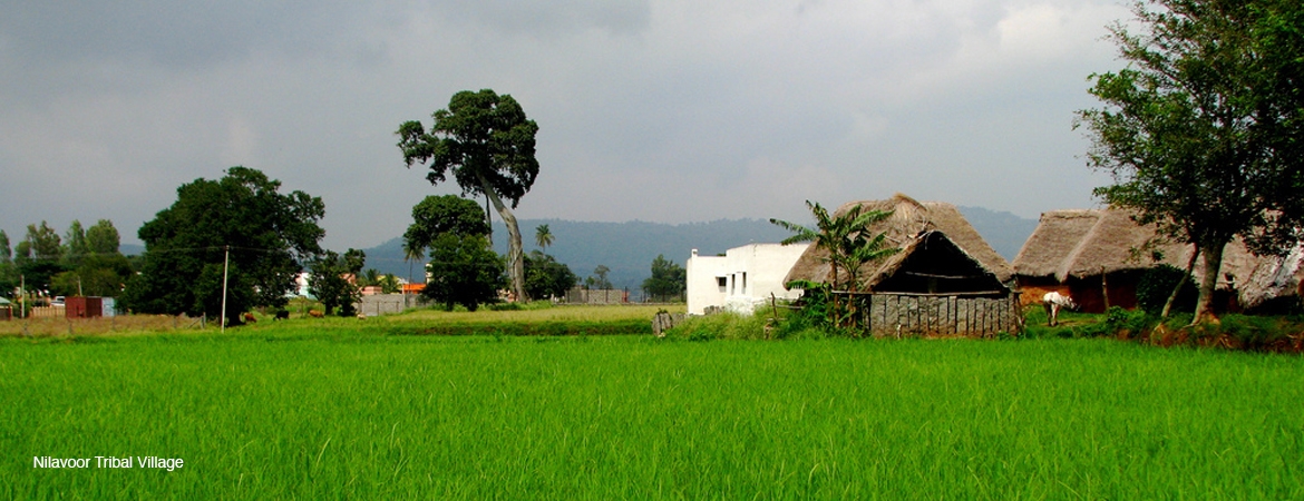 yelagiri-places-to-see-best-time-to-visit-sterling-resorts