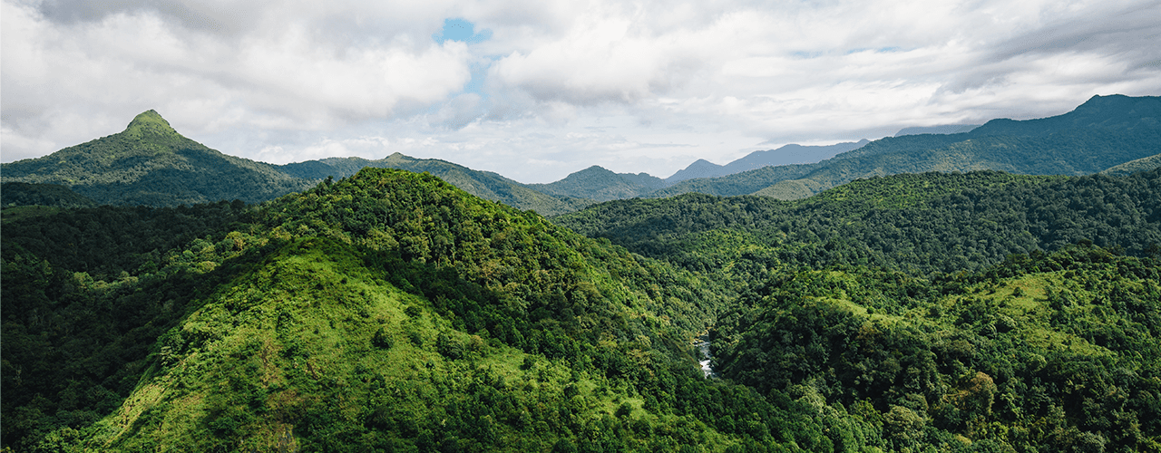 Destination Banner Image