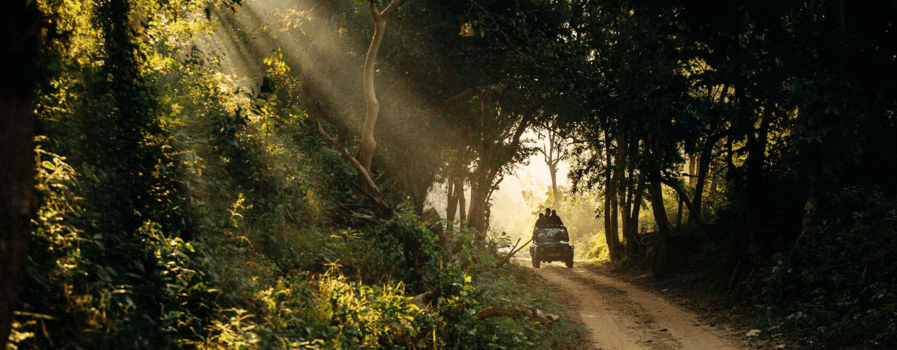 Destination Banner Image