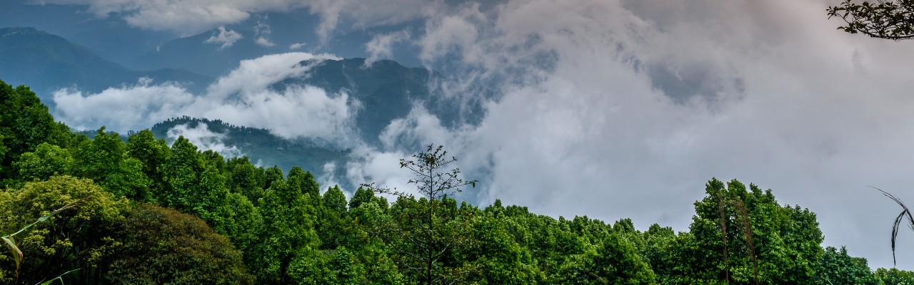 Destination Banner Image