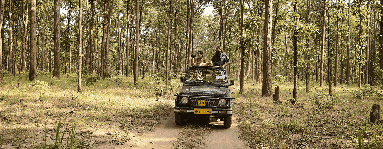 Destination Banner Image