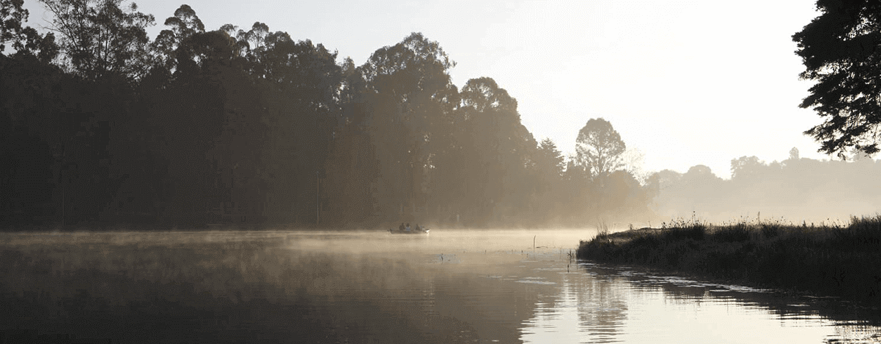 Destination Banner Image