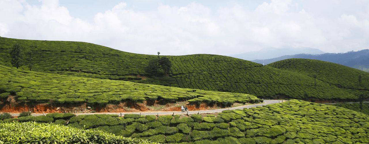 Destination Banner Image