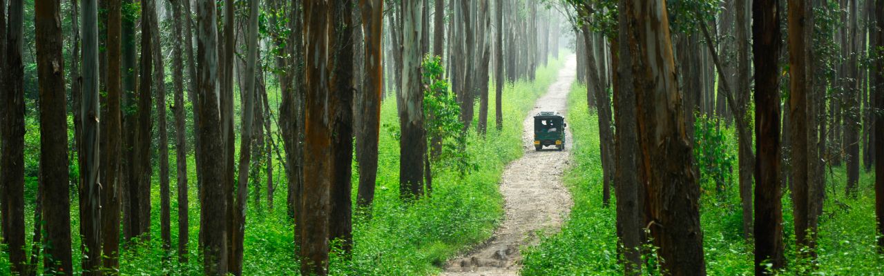 Destination Banner Image