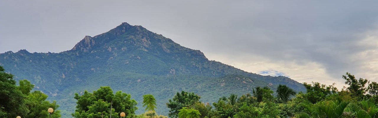 Destination Banner Image