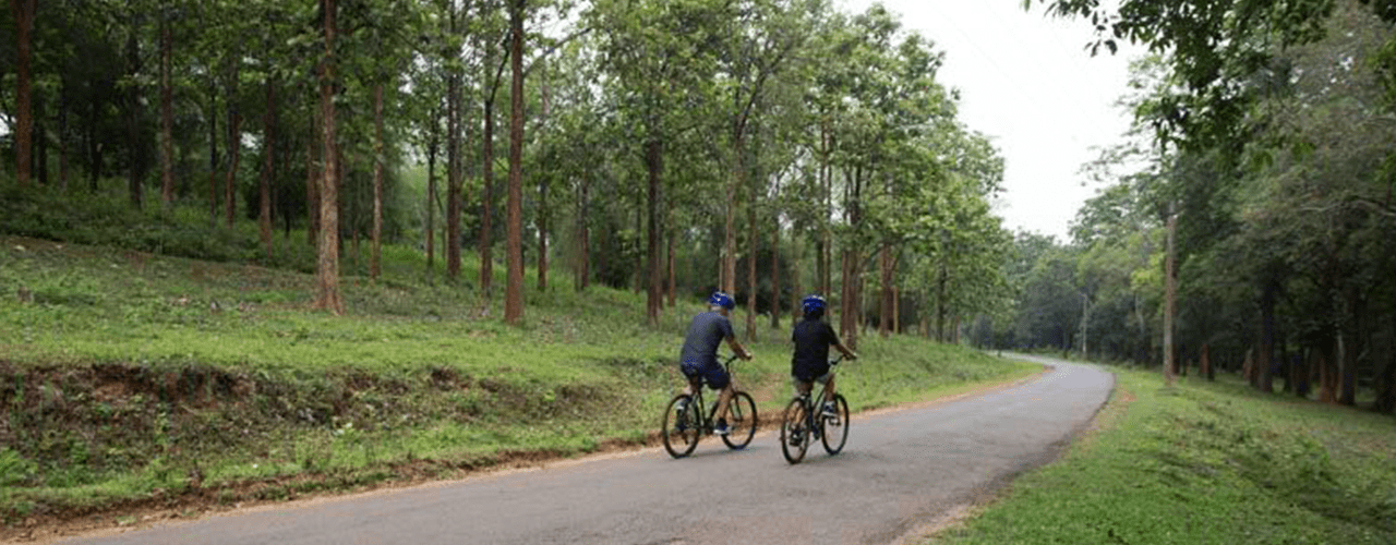 Destination Banner Image