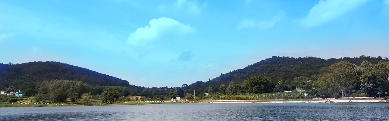 Destination Banner Image