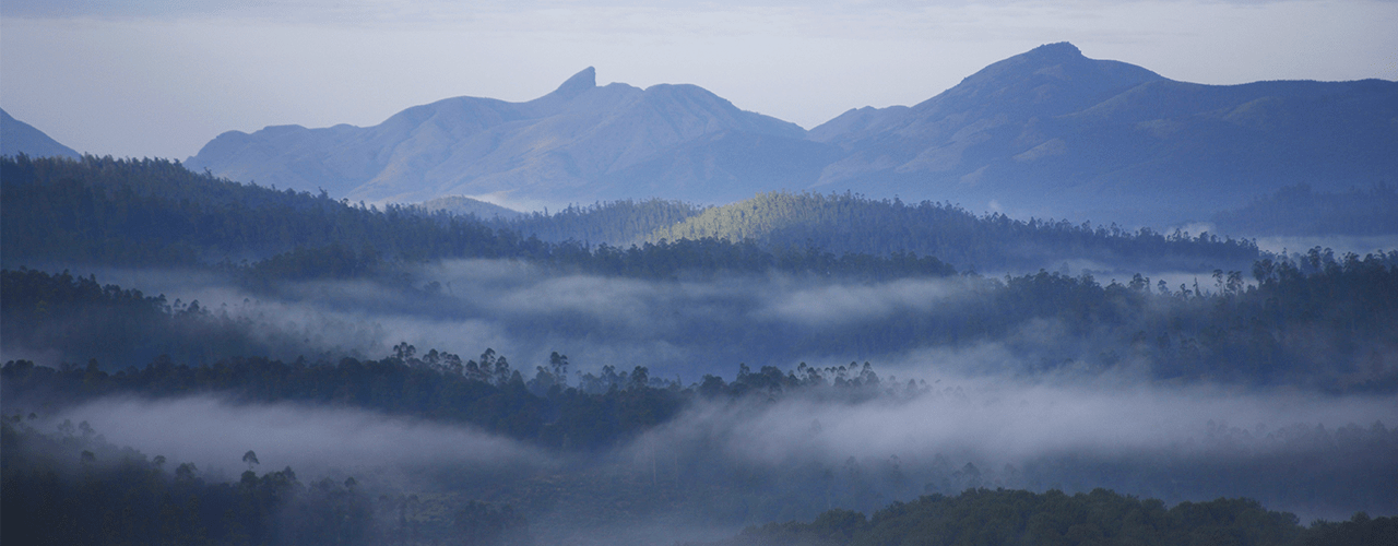 Destination Banner Image