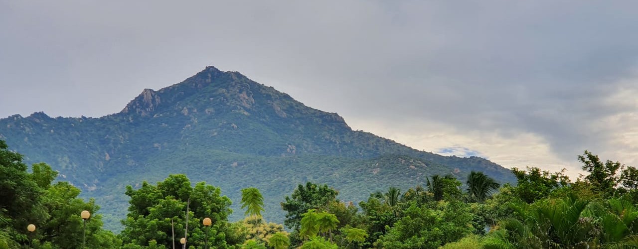 Tiruvannamalai Banner