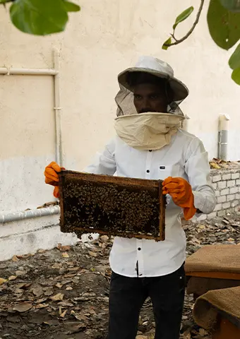 Bee Keeper