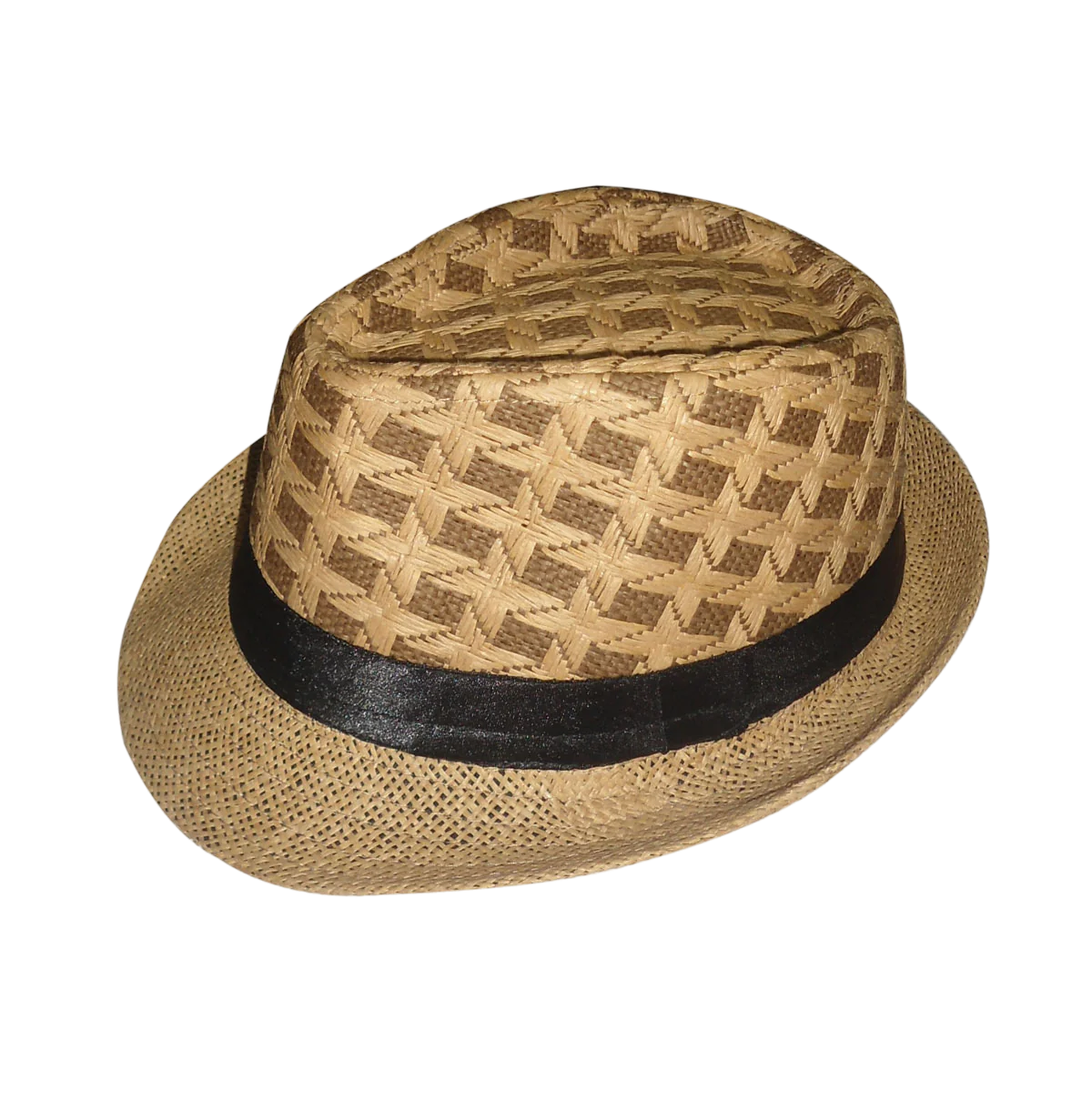 Wild Brimmed Hat or Cap