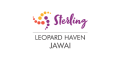 Sterling Leopard Haven Jawai
