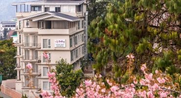 Sterling Mount Olive Gangtok 