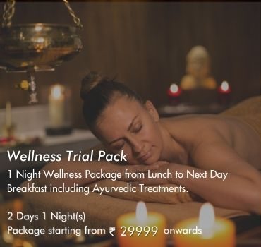 1-night-package