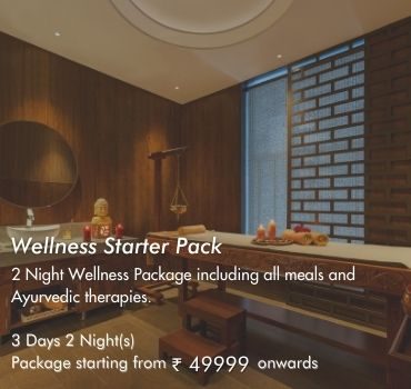 wellness escape package 2 night