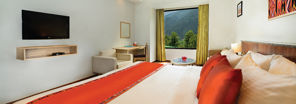 Manali Studio Room