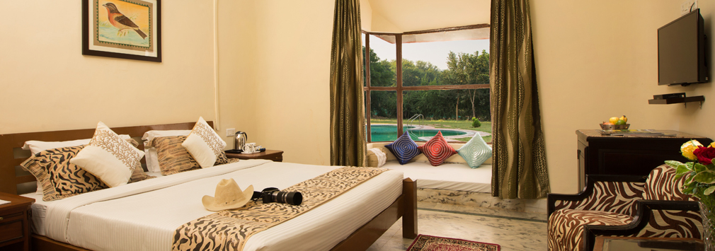 Sariska Guest Room