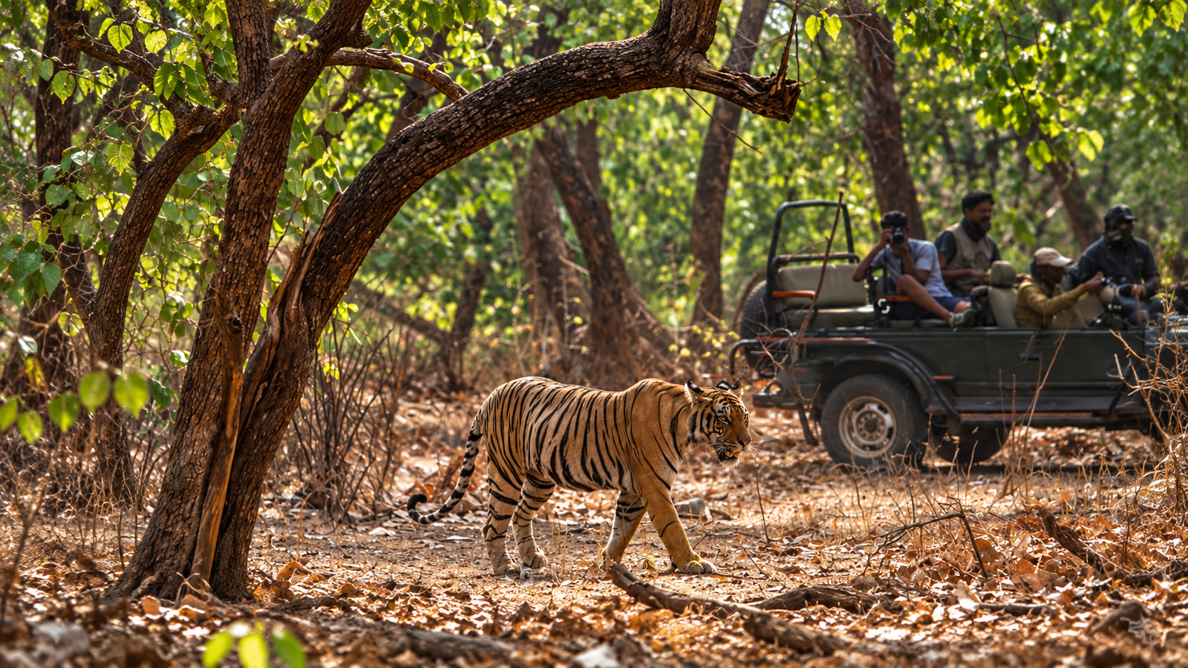 Wildlife & Birdwatching Enthusiasts 