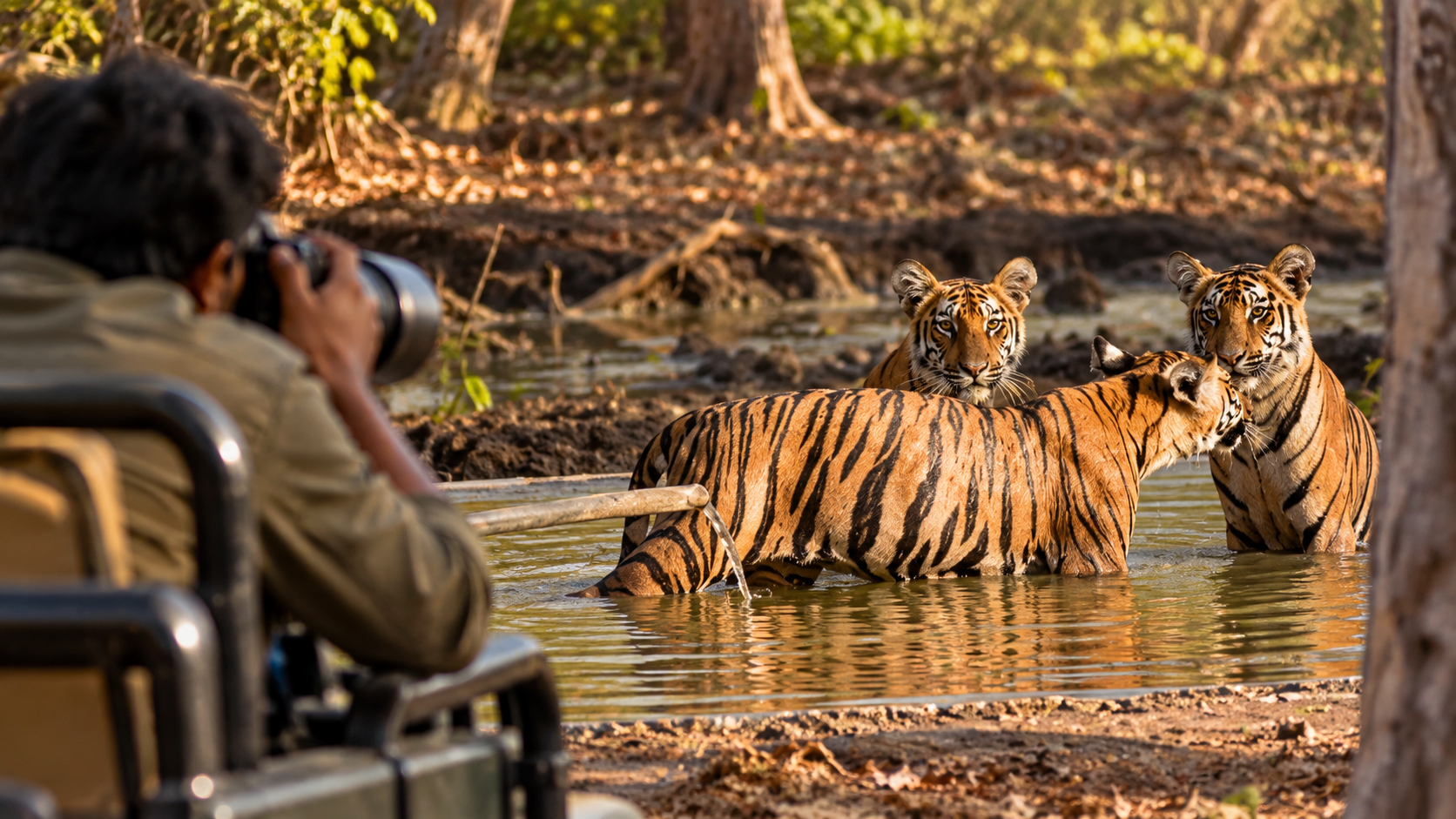 Photography Enthusiasts 