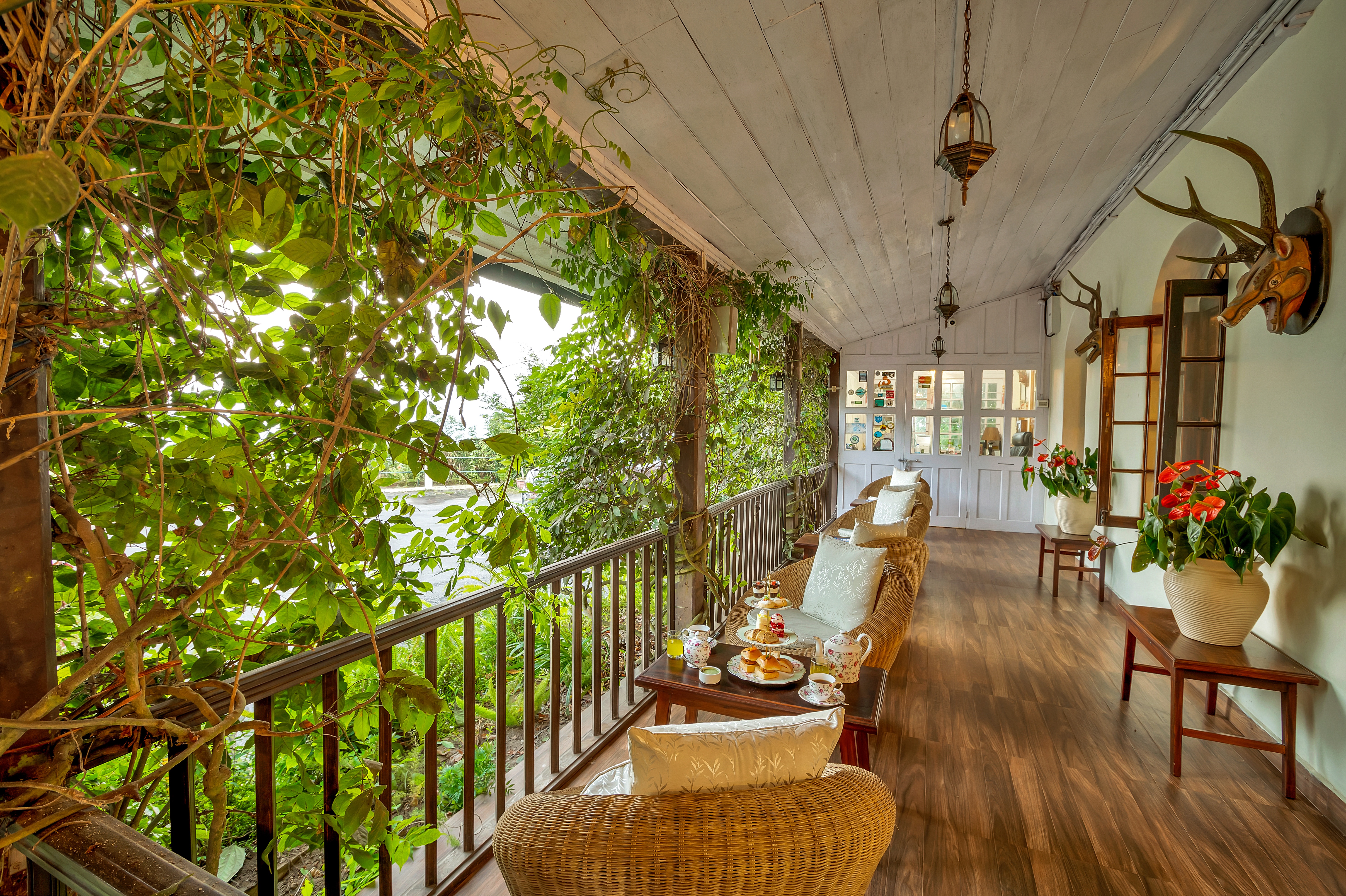Courtyard & Patio | Outdoor Dining 