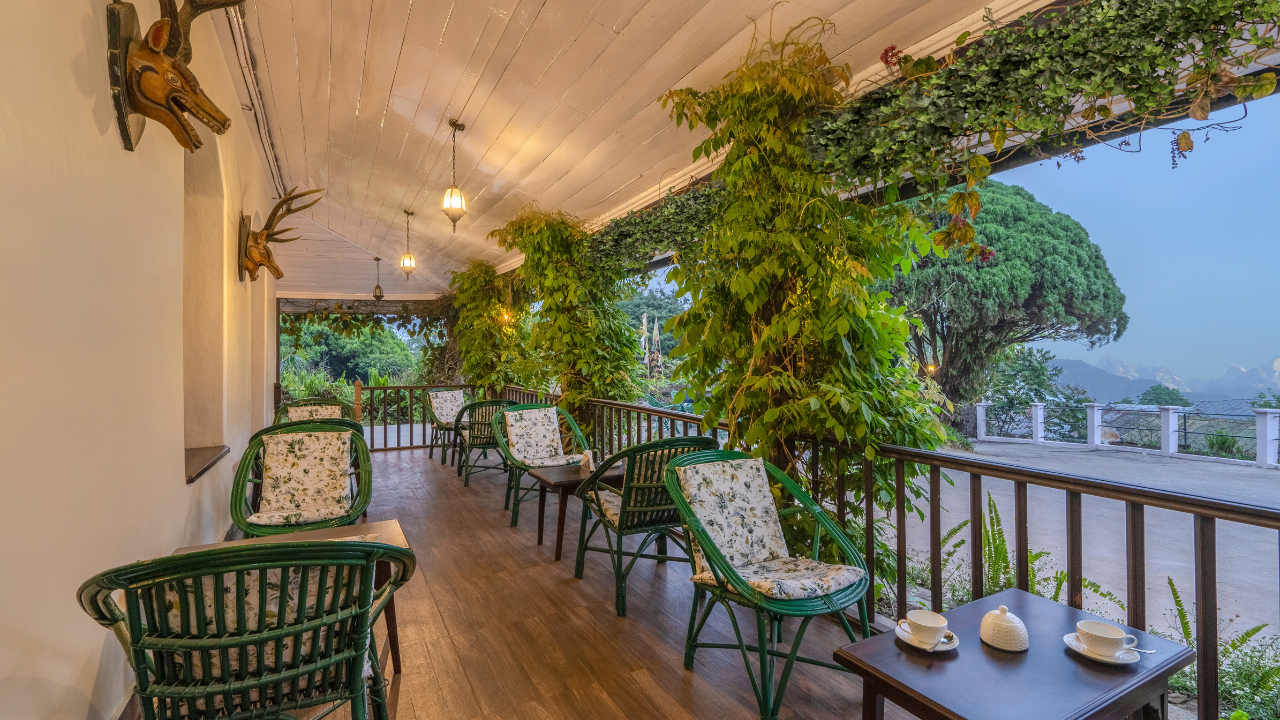 Courtyard & Patio | Outdoor Dining 